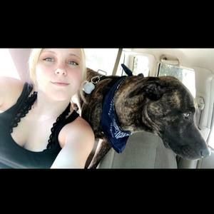 Meet your Posher, Abby